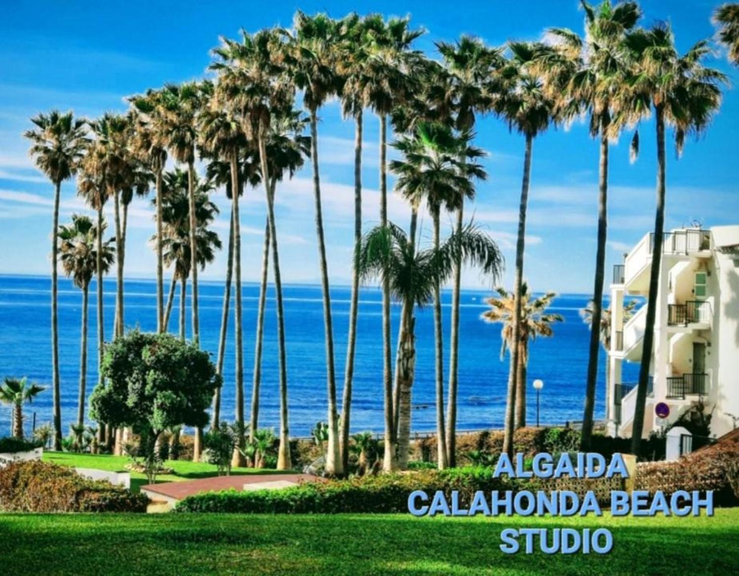 Nuevo! Algaida Calahonda Beach Studio Sitio de Calahonda Exterior photo